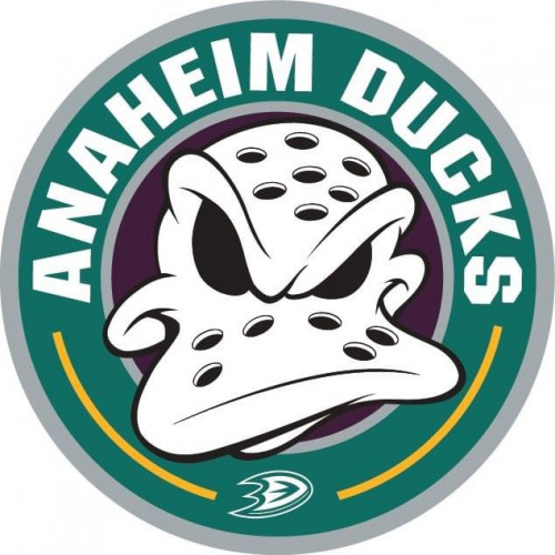 Anaheim Ducks Fan Basket