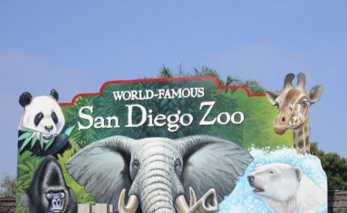 Kids are WILD - San Diego Zoo or Wild Animal Park
